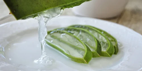 Aloes żel: naturalny hit w pielęgnacji i makijażu
