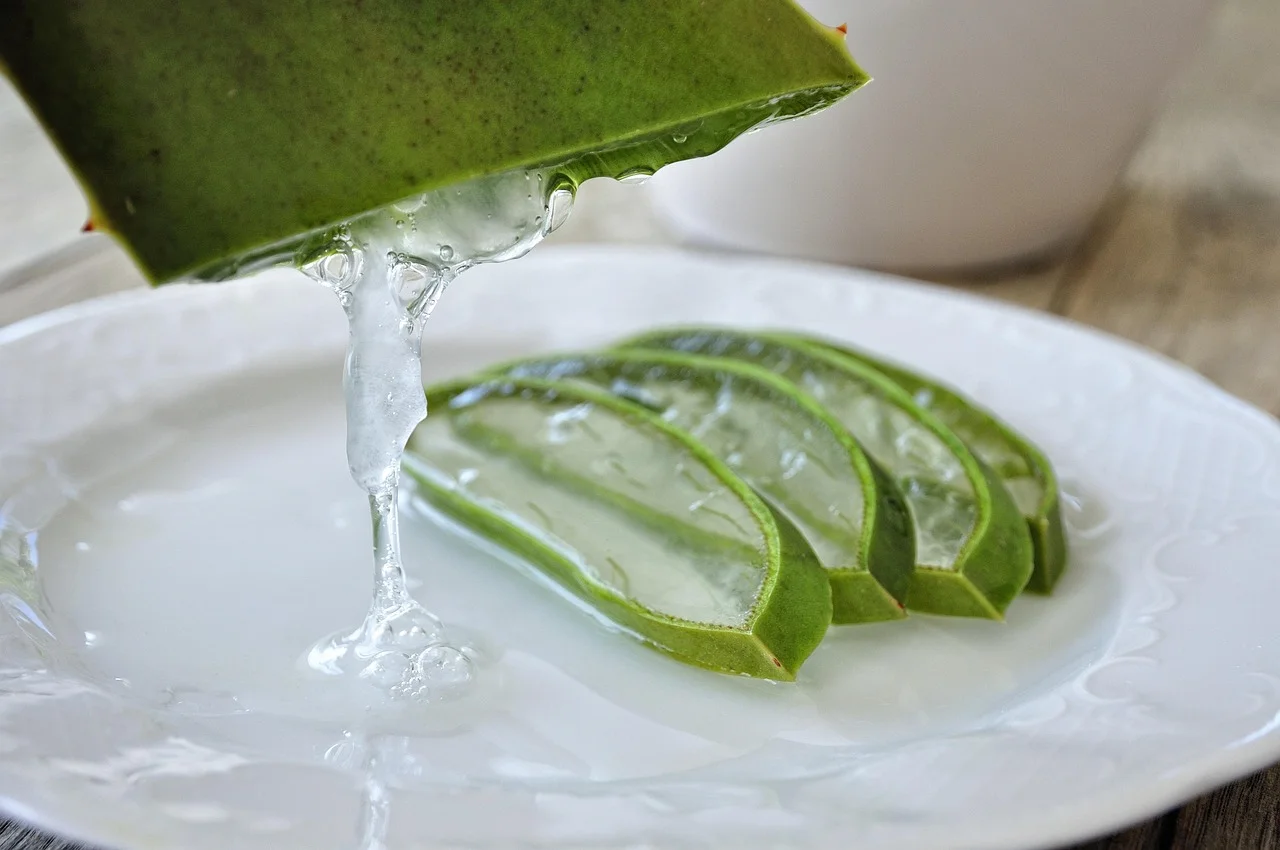 Aloes żel: naturalny hit w pielęgnacji i makijażu